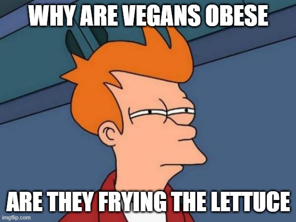 are they tho??? | WHY ARE VEGANS OBESE; ARE THEY FRYING THE LETTUCE | image tagged in memes,futurama fry,funny,lol | made w/ Imgflip meme maker