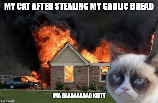 Burn Kitty Meme | MY CAT AFTER STEALING MY GARLIC BREAD; IMA BAAAAAAAAD KITTY | image tagged in memes,burn kitty,grumpy cat | made w/ Imgflip meme maker