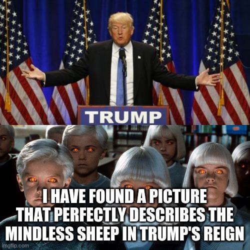 Trump Cult | I HAVE FOUND A PICTURE THAT PERFECTLY DESCRIBES THE MINDLESS SHEEP IN TRUMP'S REIGN | image tagged in trump cult | made w/ Imgflip meme maker