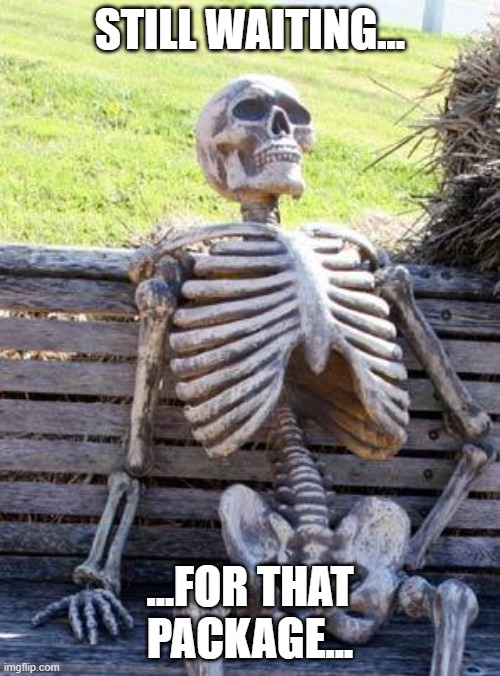 Tick tock | STILL WAITING... ...FOR THAT PACKAGE... | image tagged in memes,waiting skeleton | made w/ Imgflip meme maker