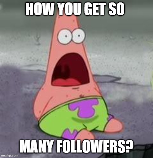 Suprised Patrick | HOW YOU GET SO MANY FOLLOWERS? | image tagged in suprised patrick | made w/ Imgflip meme maker