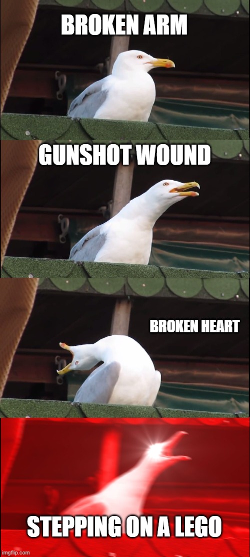 Pain of Life | BROKEN ARM; GUNSHOT WOUND; BROKEN HEART; STEPPING ON A LEGO | image tagged in memes,inhaling seagull | made w/ Imgflip meme maker