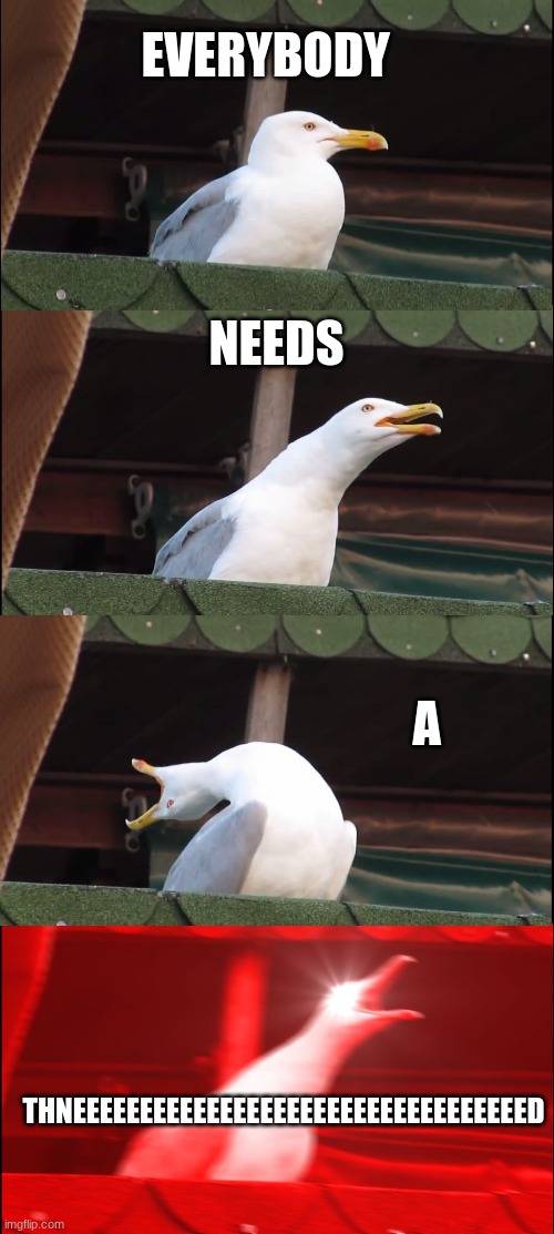 Inhaling Seagull | EVERYBODY; NEEDS; A; THNEEEEEEEEEEEEEEEEEEEEEEEEEEEEEEEEEED | image tagged in memes,inhaling seagull,thneed | made w/ Imgflip meme maker