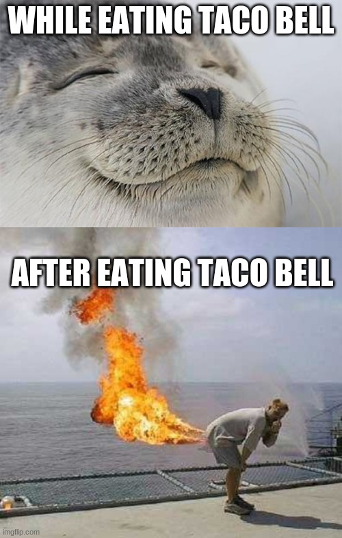 the true affects of before and after eating taco bell | WHILE EATING TACO BELL; AFTER EATING TACO BELL | image tagged in memes,satisfied seal,darti boy,funny | made w/ Imgflip meme maker