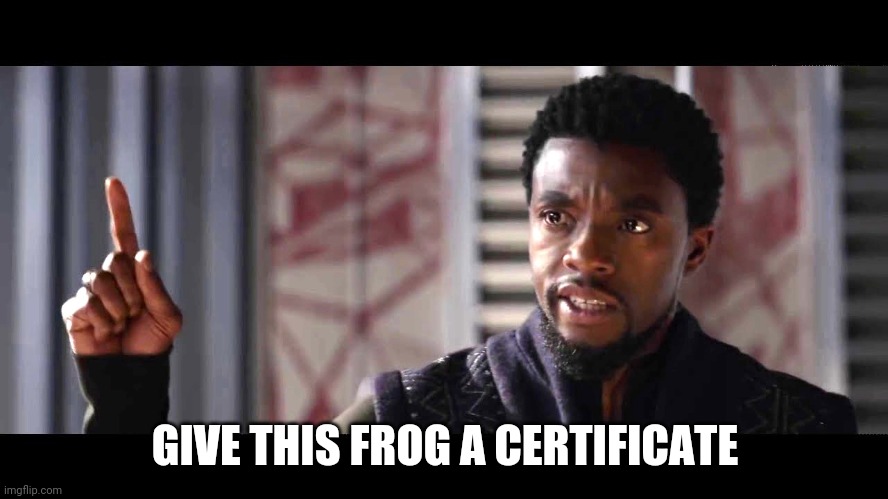 give this man a shield | GIVE THIS FROG A CERTIFICATE | image tagged in give this man a shield | made w/ Imgflip meme maker