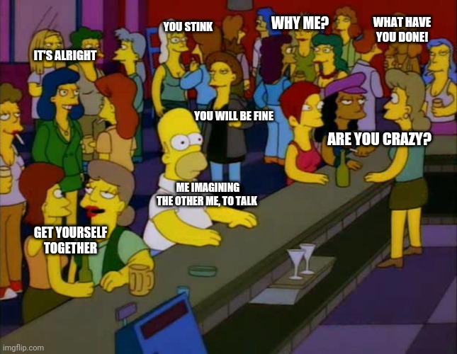 homer simpson me on facebook | WHY ME? YOU STINK; WHAT HAVE YOU DONE! IT'S ALRIGHT; YOU WILL BE FINE; ARE YOU CRAZY? ME IMAGINING THE OTHER ME, TO TALK; GET YOURSELF TOGETHER | image tagged in homer simpson me on facebook | made w/ Imgflip meme maker