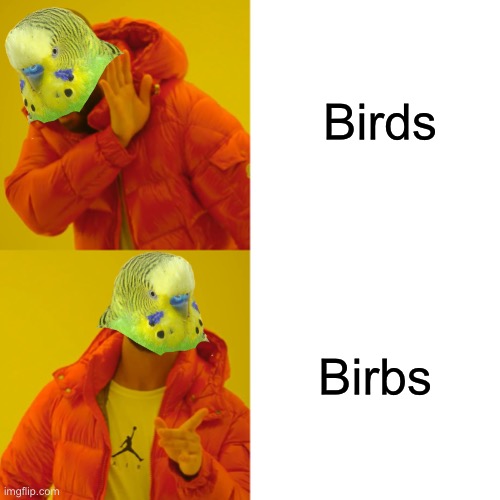 Bird or birb? | Birds; Birbs | image tagged in memes,birds,birb,budgie,parakeet | made w/ Imgflip meme maker