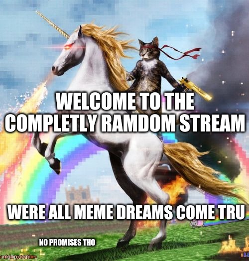 Welcome To The Internets | WELCOME TO THE COMPLETLY RAMDOM STREAM; WERE ALL MEME DREAMS COME TRU; NO PROMISES THO | image tagged in memes,welcome to the internets | made w/ Imgflip meme maker