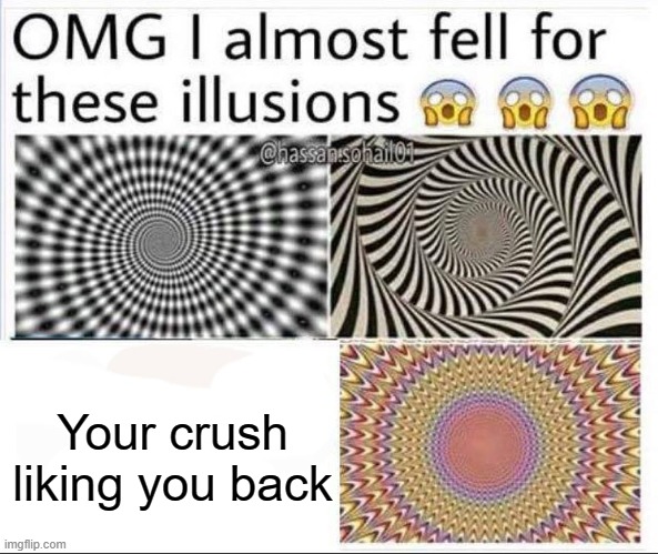 true tho | Your crush liking you back | image tagged in funny,memes,crush,optical illusion,illusions | made w/ Imgflip meme maker
