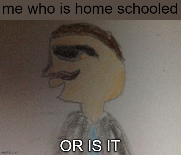 Or is it | me who is home schooled OR IS IT | image tagged in or is it | made w/ Imgflip meme maker
