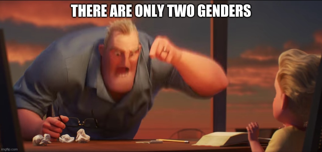 Only two | THERE ARE ONLY TWO GENDERS | image tagged in math is math,funny,memes,facts | made w/ Imgflip meme maker