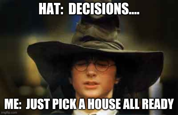 Harry Potter sorting hat | HAT:  DECISIONS.... ME:  JUST PICK A HOUSE ALL READY | image tagged in harry potter sorting hat | made w/ Imgflip meme maker