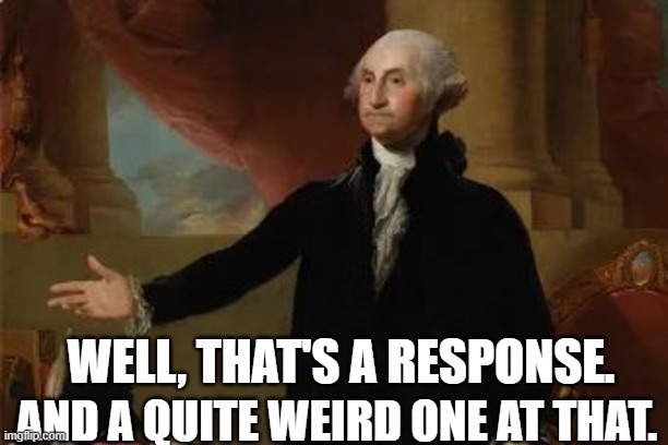 Well Then Washington | WELL, THAT'S A RESPONSE. AND A QUITE WEIRD ONE AT THAT. | image tagged in well then washington | made w/ Imgflip meme maker
