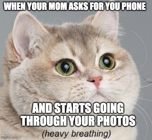 *Heavey Breathing* | WHEN YOUR MOM ASKS FOR YOU PHONE; AND STARTS GOING THROUGH YOUR PHOTOS | image tagged in memes,heavy breathing cat | made w/ Imgflip meme maker