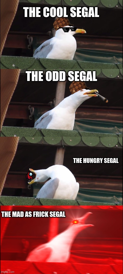 Inhaling Seagull Meme | THE COOL SEGAL; THE ODD SEGAL; THE HUNGRY SEGAL; THE MAD AS FRICK SEGAL | image tagged in memes,inhaling seagull | made w/ Imgflip meme maker