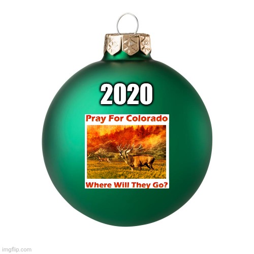 2020 | image tagged in christmas decorations | made w/ Imgflip meme maker