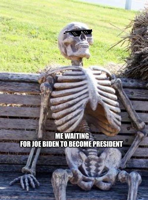 This is, taking a while | ME WAITING FOR JOE BIDEN TO BECOME PRESIDENT | image tagged in memes,waiting skeleton | made w/ Imgflip meme maker