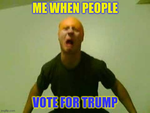 FFFFFCCCCCCCCKKKKKK | ME WHEN PEOPLE; VOTE FOR TRUMP | image tagged in yo dawg,chiiiiiilllllllllllll | made w/ Imgflip meme maker