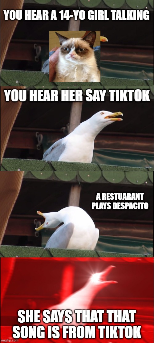 Inhaling Seagull | YOU HEAR A 14-YO GIRL TALKING; YOU HEAR HER SAY TIKTOK; A RESTUARANT PLAYS DESPACITO; SHE SAYS THAT THAT SONG IS FROM TIKTOK | image tagged in memes,inhaling seagull | made w/ Imgflip meme maker