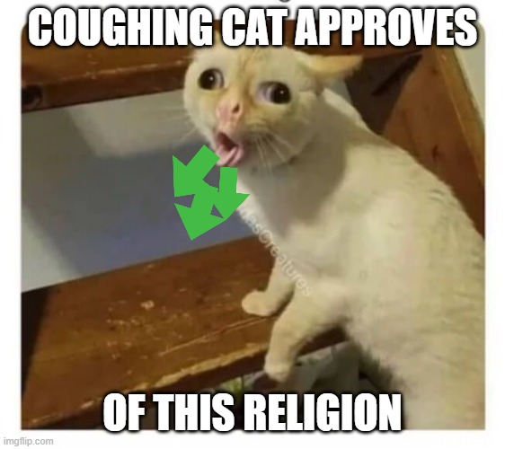 Coughing Cat | COUGHING CAT APPROVES OF THIS RELIGION | image tagged in coughing cat | made w/ Imgflip meme maker