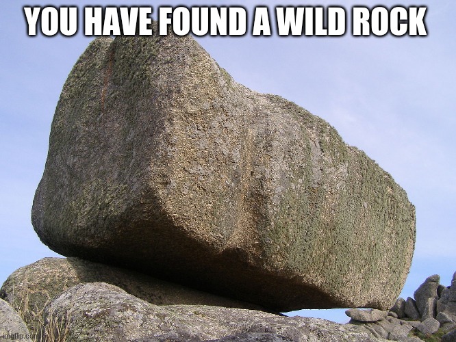 Rock | YOU HAVE FOUND A WILD ROCK | image tagged in rock | made w/ Imgflip meme maker