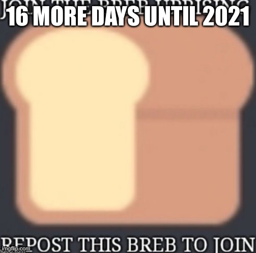 16 MORE DAYS UNTIL 2021 | made w/ Imgflip meme maker