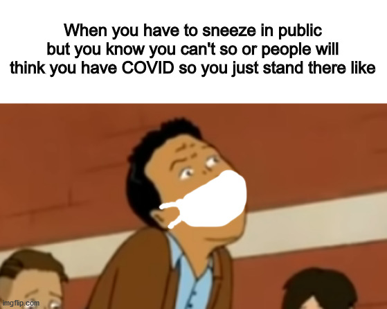 When you have to sneeze in public but you know you can't so or people will think you have COVID so you just stand there like | image tagged in memes | made w/ Imgflip meme maker