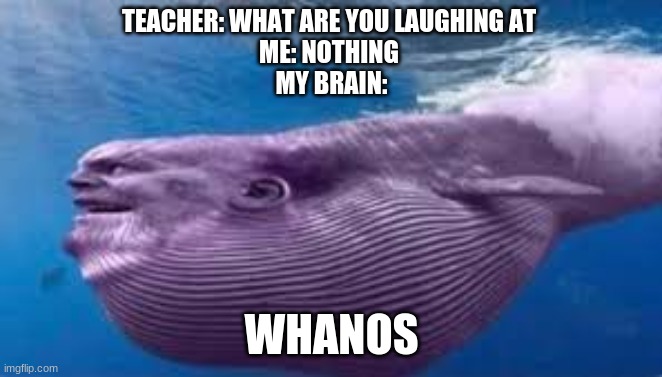 Thanos + Whale | TEACHER: WHAT ARE YOU LAUGHING AT 
ME: NOTHING 
MY BRAIN:; WHANOS | image tagged in i have no idea what i am doing | made w/ Imgflip meme maker