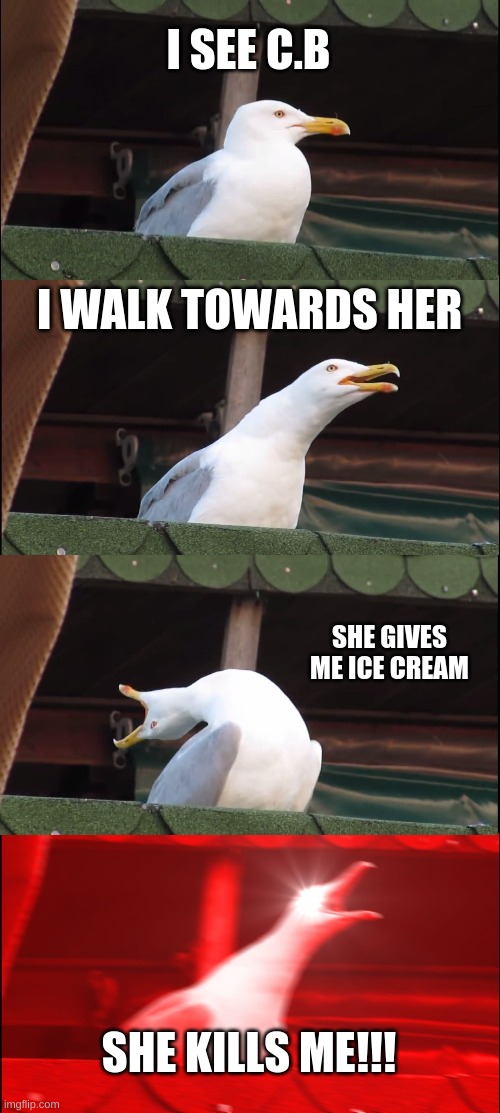 How i died! | I SEE C.B; I WALK TOWARDS HER; SHE GIVES ME ICE CREAM; SHE KILLS ME!!! | image tagged in memes,inhaling seagull | made w/ Imgflip meme maker