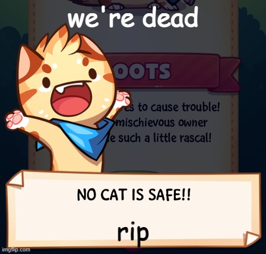 i might get the cat game soon idk | we're dead; rip | image tagged in no cat is safe | made w/ Imgflip meme maker
