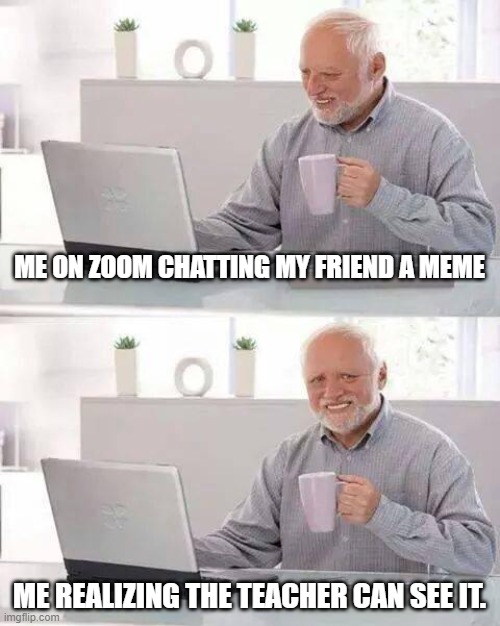 Zoom meme | ME ON ZOOM CHATTING MY FRIEND A MEME; ME REALIZING THE TEACHER CAN SEE IT. | image tagged in memes,hide the pain harold | made w/ Imgflip meme maker