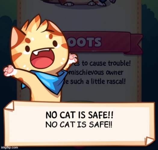 No cat is safe!! | NO CAT IS SAFE!! | image tagged in no cat is safe | made w/ Imgflip meme maker