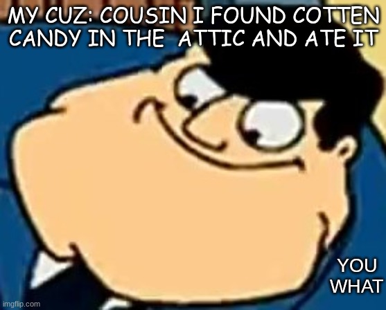 you what? | MY CUZ: COUSIN I FOUND COTTEN CANDY IN THE  ATTIC AND ATE IT; YOU WHAT | image tagged in you what,memes | made w/ Imgflip meme maker