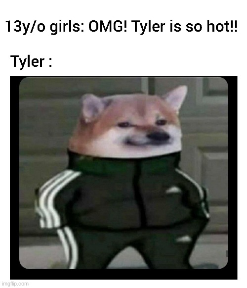 This is tyler | image tagged in doge | made w/ Imgflip meme maker