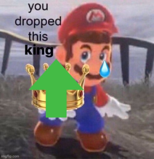 Mario you dropped this king | image tagged in mario you dropped this king | made w/ Imgflip meme maker