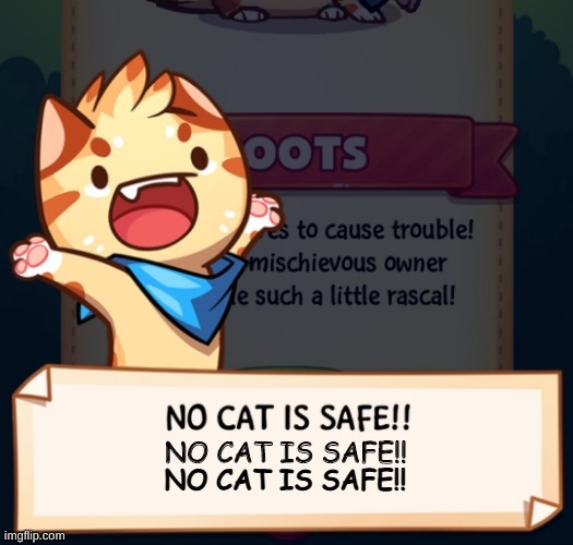 NO CAT IS SAFE!! | NO CAT IS SAFE!! | made w/ Imgflip meme maker