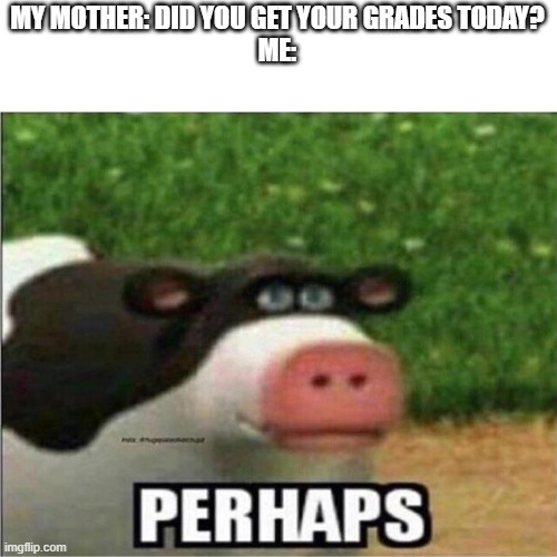 Perhaps Cow | MY MOTHER: DID YOU GET YOUR GRADES TODAY?
ME: | image tagged in perhaps cow | made w/ Imgflip meme maker