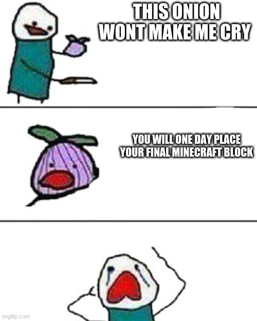 this onion won't make me cry | THIS ONION WONT MAKE ME CRY; YOU WILL ONE DAY PLACE YOUR FINAL MINECRAFT BLOCK | image tagged in this onion won't make me cry | made w/ Imgflip meme maker