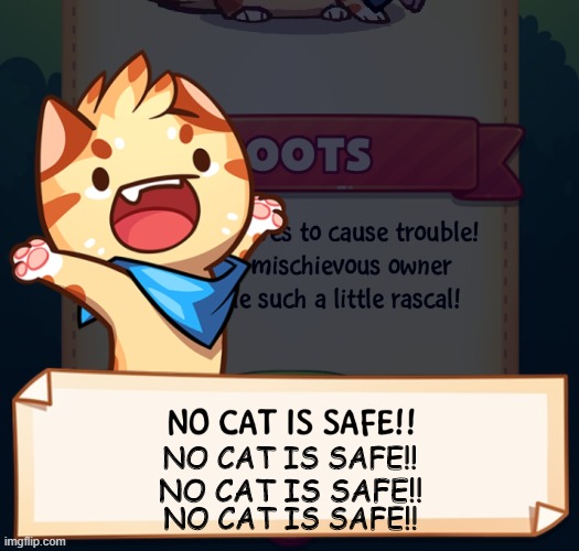 No cat is safe!!! | NO CAT IS SAFE!! NO CAT IS SAFE!! NO CAT IS SAFE!! | image tagged in no cat is safe | made w/ Imgflip meme maker