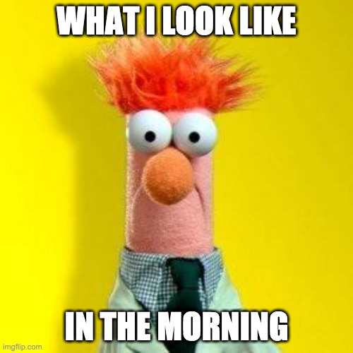 Muppets Meme | WHAT I LOOK LIKE; IN THE MORNING | image tagged in muppets meme | made w/ Imgflip meme maker