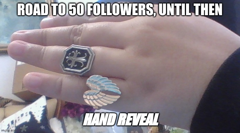 Because why not? | ROAD TO 50 FOLLOWERS, UNTIL THEN; HAND REVEAL | image tagged in hands,yes,stop reading the tags | made w/ Imgflip meme maker