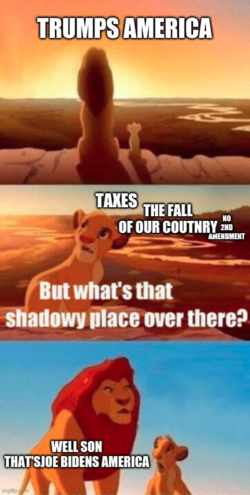 Trump's America.vs.Joe's America | TRUMPS AMERICA; TAXES; NO 2ND AMENDMENT; THE FALL OF OUR COUTNRY; WELL SON THAT'SJOE BIDENS AMERICA | image tagged in memes,simba shadowy place,trump 2020,political meme | made w/ Imgflip meme maker