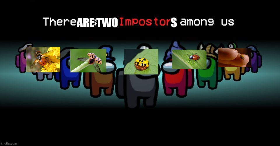 There is one impostor among us | ARE TWO                         S | image tagged in there is one impostor among us | made w/ Imgflip meme maker