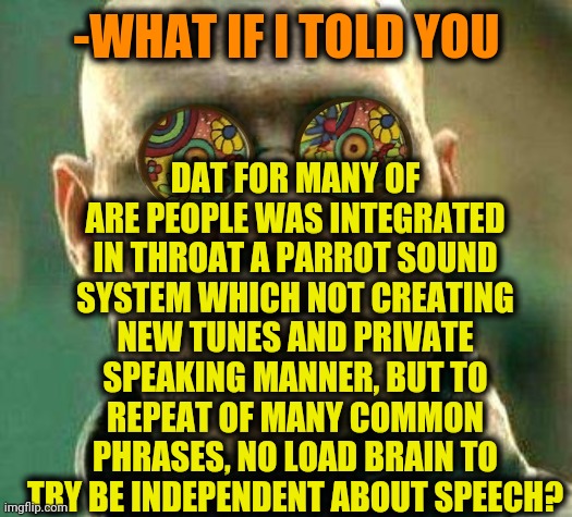-Saying empty lay. | DAT FOR MANY OF ARE PEOPLE WAS INTEGRATED IN THROAT A PARROT SOUND SYSTEM WHICH NOT CREATING NEW TUNES AND PRIVATE SPEAKING MANNER, BUT TO REPEAT OF MANY COMMON PHRASES, NO LOAD BRAIN TO TRY BE INDEPENDENT ABOUT SPEECH? -WHAT IF I TOLD YOU | image tagged in acid kicks in morpheus,what if i told you,free speech,paranoid parrot,new feature,love yourself | made w/ Imgflip meme maker