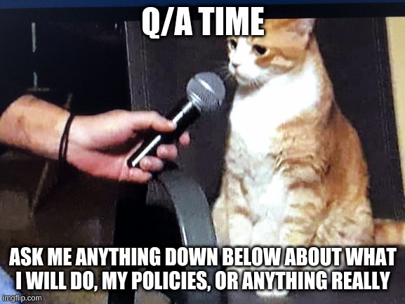 mental_injury8900 for president | Q/A TIME; ASK ME ANYTHING DOWN BELOW ABOUT WHAT I WILL DO, MY POLICIES, OR ANYTHING REALLY | image tagged in memes,mental_injury8900 for president | made w/ Imgflip meme maker