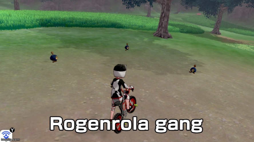 Rogenrola gang | image tagged in rogenrola gang | made w/ Imgflip meme maker