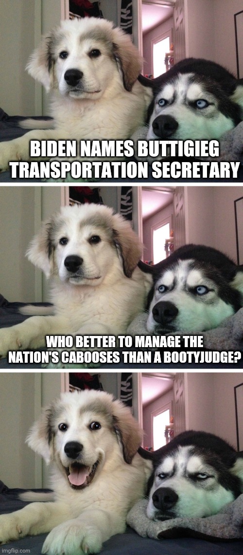 I'll show myself the door now. | BIDEN NAMES BUTTIGIEG TRANSPORTATION SECRETARY; WHO BETTER TO MANAGE THE NATION'S CABOOSES THAN A BOOTYJUDGE? | image tagged in bad pun dogs | made w/ Imgflip meme maker