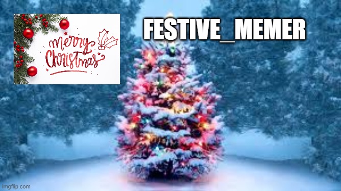 FESTIVE_MEMER | made w/ Imgflip meme maker