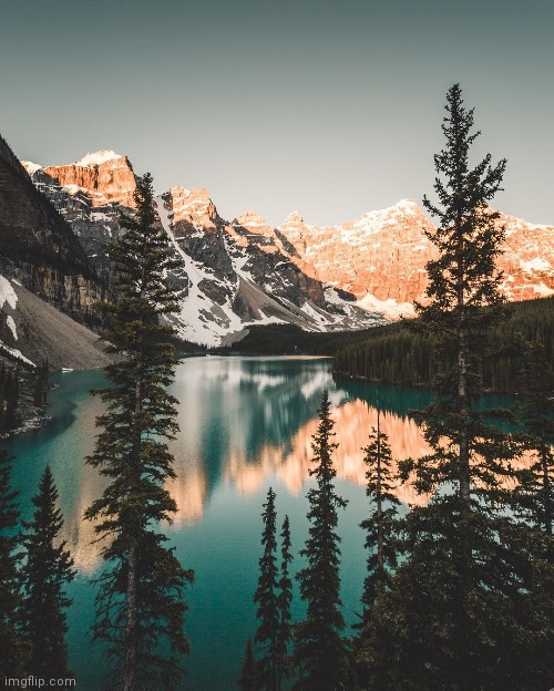 This gives me slight Pan-Sexual vibes | made w/ Imgflip meme maker