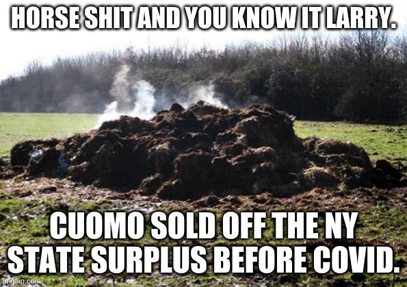 Steaming pile of shit | HORSE SHIT AND YOU KNOW IT LARRY. CUOMO SOLD OFF THE NY STATE SURPLUS BEFORE COVID. | image tagged in steaming pile of shit | made w/ Imgflip meme maker